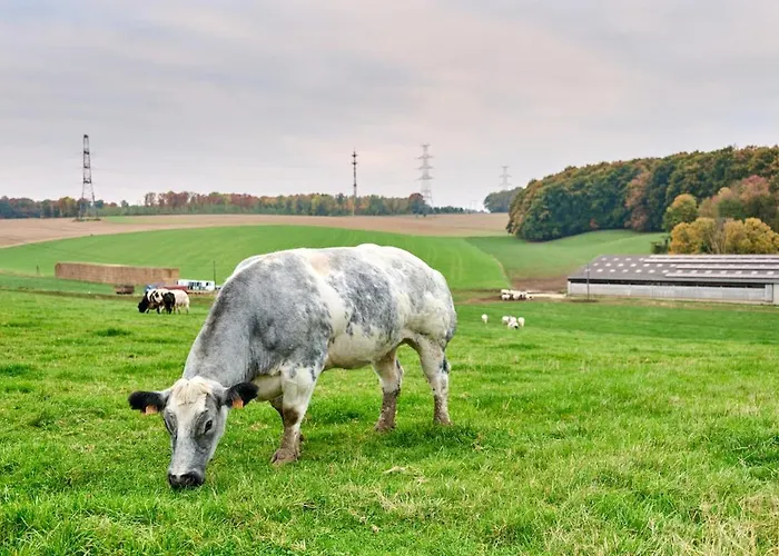 Luxueuse Maison A La Campagne A 5 Min De Vakantiehuis